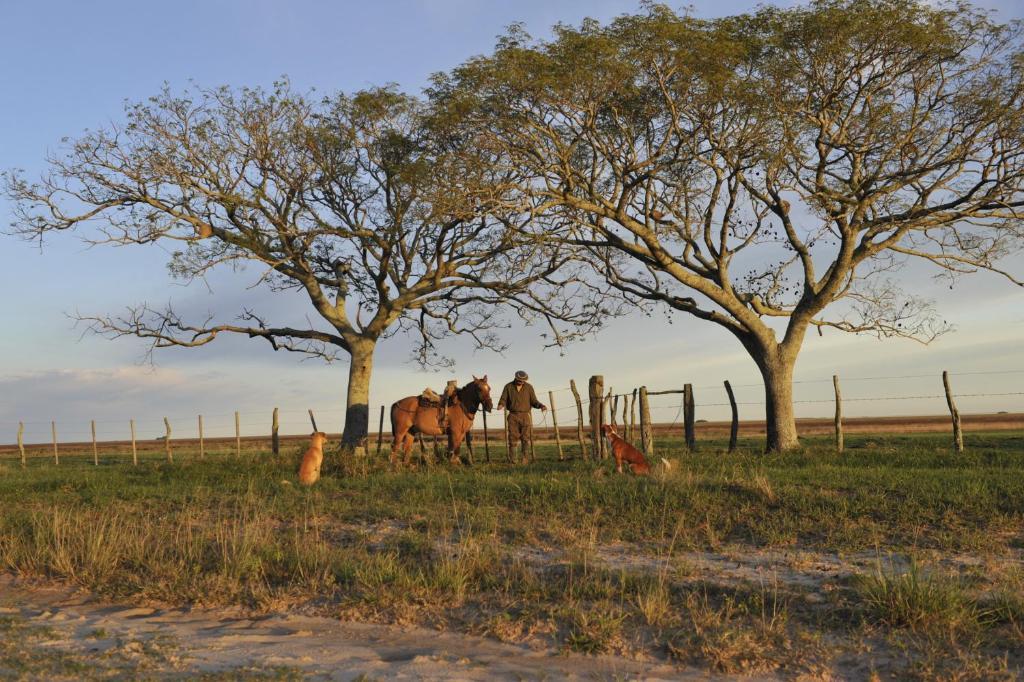 Hotel Nande Reta Colonia Carlos Pellegrini  Exteriér fotografie